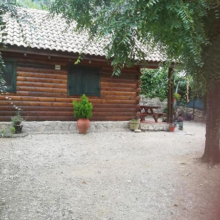 Cabana De Madera La Encina Бурунчель Экстерьер фото