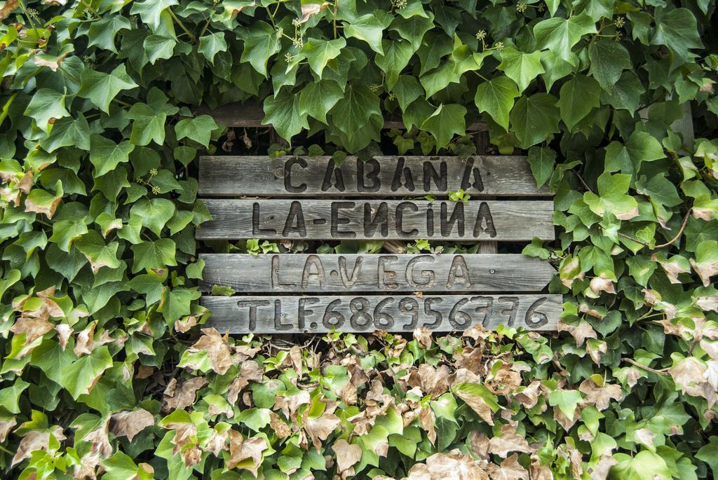Cabana De Madera La Encina Бурунчель Экстерьер фото